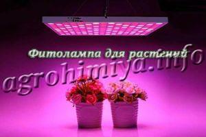Фитолампа для растений