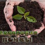 Плодородие почвы