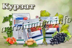 Фунгицид Курзат