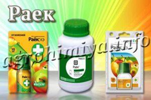 Фунгицид Раек