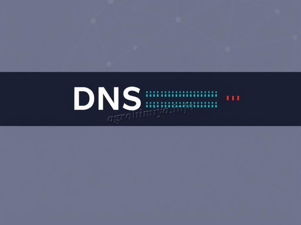 Как устроена система адресов в Интернете: путеводитель по DNS-серверам