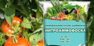 Удобрение нитроаммофоска