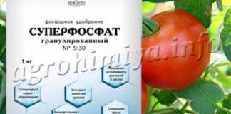 Фото удобрения суперфосфат