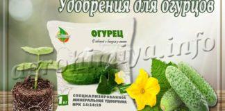 Удобрения для огурцов
