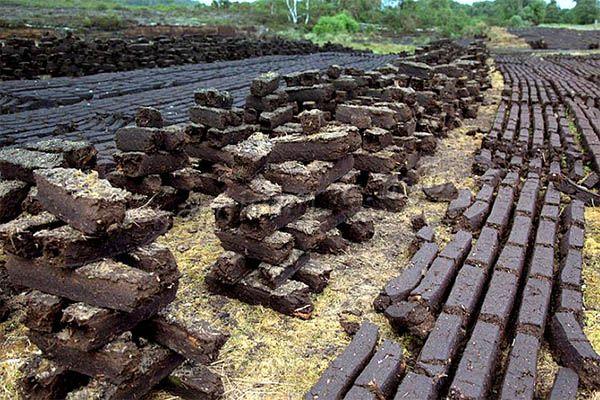 Торф - это осадочная мягкая порода, которая образуется в болотах или подобных водоемах