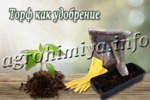 Торф как удобрение