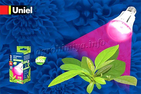 Фитолампа Uniel LED-A60-9W-SP-E27-CL ALM01WH