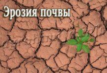 Эрозия почвы