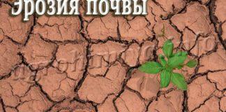 Эрозия почвы