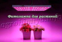 Фитолампа для растений