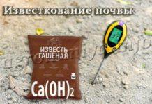 Известкование почвы