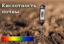 Кислотность почвы