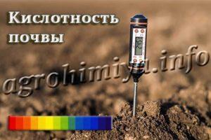 Кислотность почвы