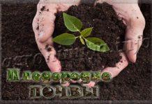 Плодородие почвы