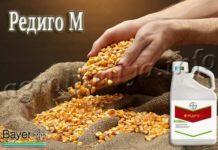 Протравитель Редиго М