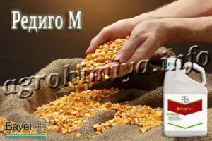 Протравитель Редиго М