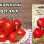 Сорт томатов Юбилейный Тарасенко