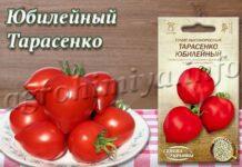 Сорт томатов Юбилейный Тарасенко