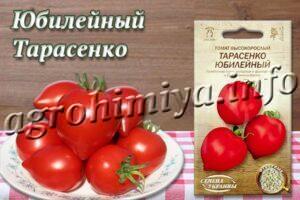 Сорт томатов Юбилейный Тарасенко