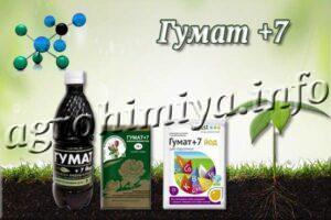 Удобрение Гумат +7