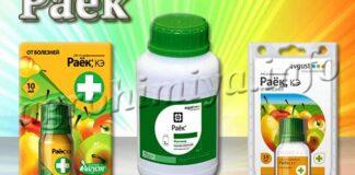 Фунгицид Раек