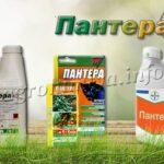 Гербицид Пантера