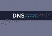 Как устроена система адресов в Интернете: путеводитель по DNS-серверам