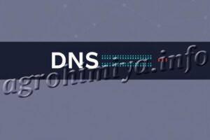 Как устроена система адресов в Интернете: путеводитель по DNS-серверам