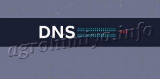 Как устроена система адресов в Интернете: путеводитель по DNS-серверам